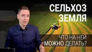 Земли сельхозназначения. Что на них можно делать?