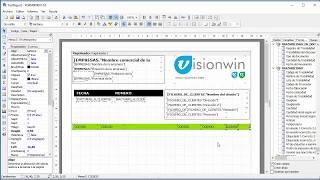 Formatos Visionwin FastReport