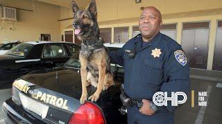 Officer Shane Kensey - K9 Unit Central Division