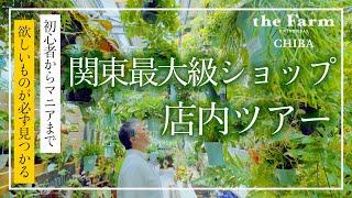 【観葉植物】the Farm UNIVERSAL CHIBAに潜入してみた！