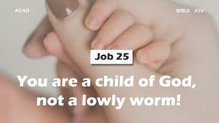 【 Job 25 】You are a child of God, not a lowly worm! ｜ACAD Bible Reading