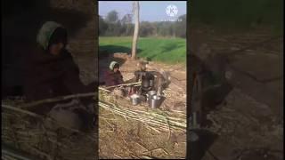 roots #roots #vairalvideo #rajasthani #minivlog #trending #shortvideo #comedy #vlog #shorts #short