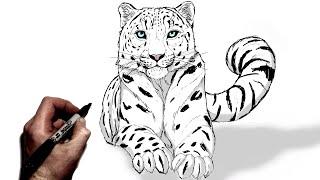 How To Draw A Snow Leopard | Step By Step