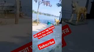 যদি কথা দাও বন্ধু দিনের পথে প্রিয় থাকবে#video #dhanshalik_studio #video funny video viral #