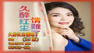 蒋婴   久醉红尘情难了DJ 版   MTV