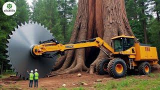 Fastest Automatic Firewood Processing Machine - Modern Chainsaw Technology |Agriculture Technology