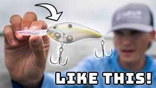 A Beginners Guide To DEEP CRANKBAITS!