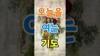오늘을 여는 기도 #주님#오늘#기도