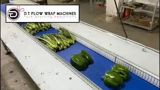 T-V700X Vegetable packaging machine