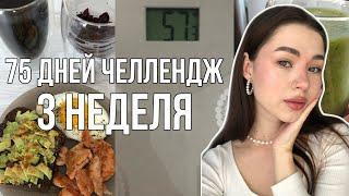 Меняю Себя За 2,5 месяца | Результаты После 3 Недели Тренировок И Питания