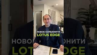 Новое комьюнити Lotus Edge | Polynesia | Бока-Ратон #shorts