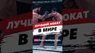 САМЫЙ ГЕНИАЛЬНЫЙ НОКАУТ В МИРЕ