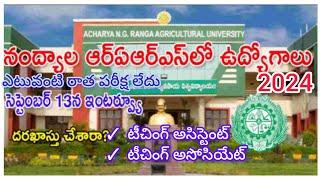 Acharya N.G.Ranga agriculture University Teaching assistant/Teaching associate Notification 2024