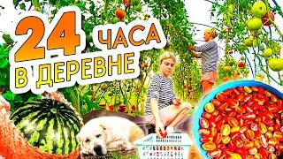 24 часа в ДЕРЕВНЕ ! Как у нас проходит один день из жизни в деревне / Деревенские будни