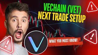 VECHAIN (VET) HOLDERS ACT NOW OR MISS OUT ON THIS MOVE