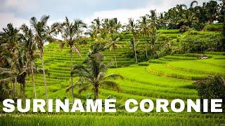 Paramaribo City To Coronie Suriname