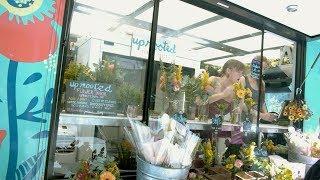 PlantPop NYC: A visit with Uprooted Flower Truck