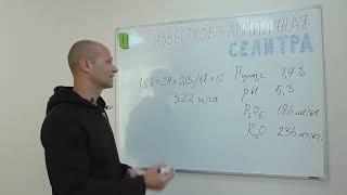 Нюансы применения Известково-аммиачной селитры от Группы "Уралхим"  при возделывании картофеля
