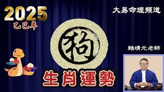 2025年 狗 生肖運勢｜2025 生肖「狗」 完整版｜2025年 运势 狗｜乙巳年運勢  狗 2025｜2025年运途  狗｜ 狗 生肖运程 2025｜大易命理頻道｜賴靖元 老師｜CC 字幕