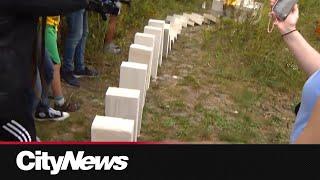 8,000 giant dominos knocked down in Toronto