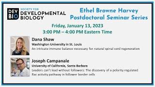 SDB Ethel Browne Harvey Postdoctoral Seminar Series - Dana Shaw and Joseph Campanale