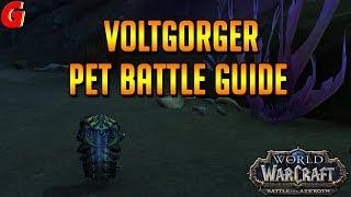 Voltgorger Pet Battle Guide - BFA