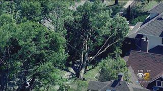 Rogers Park Reeling After Tornado