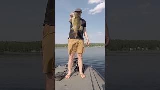 Scuffed smallmouth bass #bassfishing #fishing #fypviral #fish