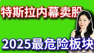 美股：特斯拉内部人卖股。2025年这一板块最危险。【2024-11-12】