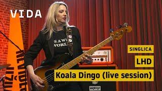 Singlica - LHD: Koala Dingo