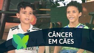 Viver Ciência - Casulo de Ideias: Henrique Furini e Pedro Faccioli