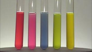 Chemistry experiment 25 - Red cabbage pH indicator