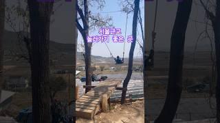강화도 여행은 바로 여기에요 #송샤티비