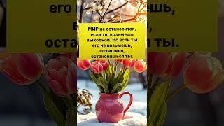 ЦИТАТЫ #дом #любовь #отношения #душа #психология #мудрость #цитаты #shortvideo