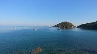 ISOLA D'ELBA: ENFOLA