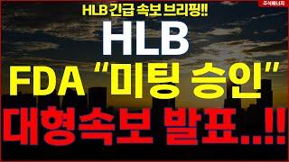 [HLB] 에이치엘비 "속보, FDA Type A 미팅 승인" 대형속보 발표..!! hlb HLB테라퓨틱스 HLB제약 HLB글로벌 HLB생명과학
