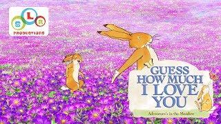 Guess How Much I Love You: Adventures in the Meadow "Hare's Eye View"