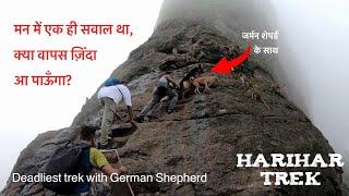 Harihar Fort With German Shepherd | We made history | Impossible Trekk #thebanjaaraboy