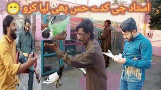 Aj aya  maza shok kar ny ka - nasir pigeon club