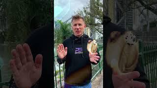 А ВЫ ЗНАЛИ О ТОМ, ЧТО ДЕЛАТЬ ПЛАСТИЧЕСКИЕ ОПЕРАЦИИ  ЛУЧШЕ....? ГДЕ? Илья Протопопов #beautiful #кино
