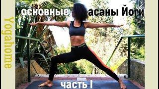 Основные асаны Йоги. Часть I | Yogahome