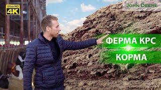 Ферма КРС. Заготовка качественного корма: какие ингредиенты в рационе коров? Часть 1