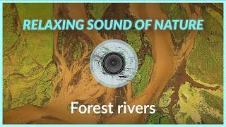 Forest rivers - relaxing sound of nature