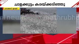 ചാകര ചാകരേയ്..; ചാവക്കാട് വീണ്ടും ചാളച്ചാകര | Thrissur | Chavakkad beach