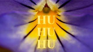 Powerful HU Chanting @963 Hz