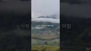 #다랭이논 #포토존 #베트남여행 #사파여행 #숙소 #여행그리기 #travel #풍경그림 #여행 #토토 #여자들만의여행그리기 #해외여행