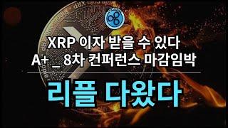 XRP. 그들에 의해 선택받을것.