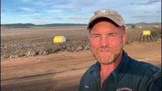 Life on a cotton farm with grower Andrew Watson