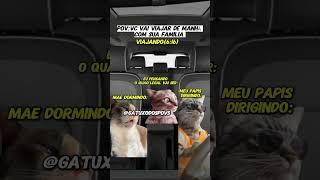 POV: Vc vai viajar de manhã com sua família  #POV #gatinhos #fy #fyp #viral #viagem #familia #carro