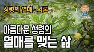 [3분의기적] 아름다운 성령의 열매를 맺는 삶